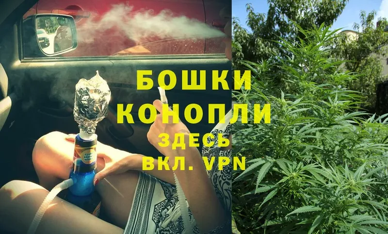 Бошки марихуана THC 21%  Губкин 